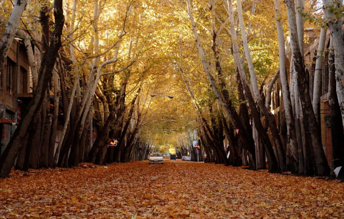 اهم اقدامات انجام شده توسط دکتر سید مسعود خاتمی در روستاهای شهرستان خوانسار